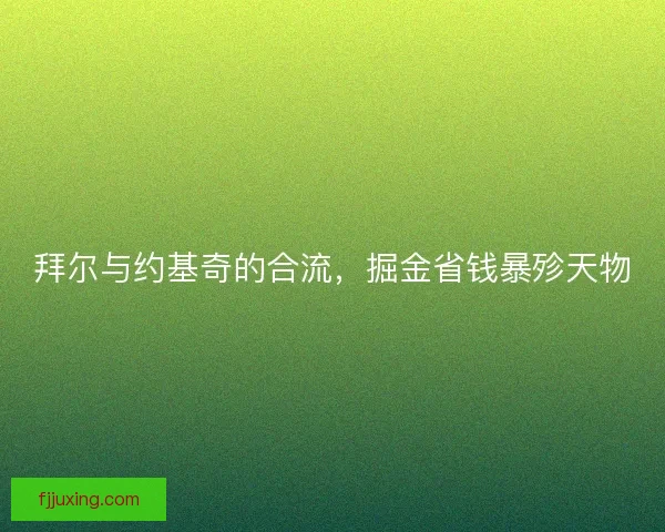 拜尔与约基奇的合流，掘金省钱暴殄天物
