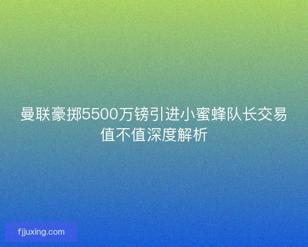曼联豪掷5500万镑引进小蜜蜂队长交易值不值深度解析